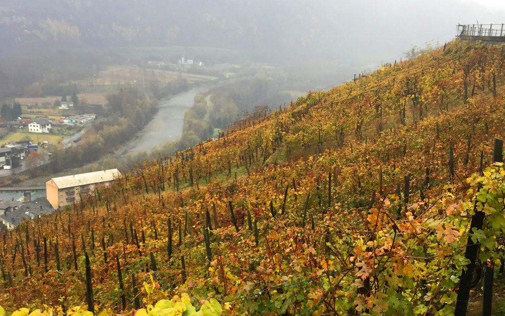 Valtellina vigneti