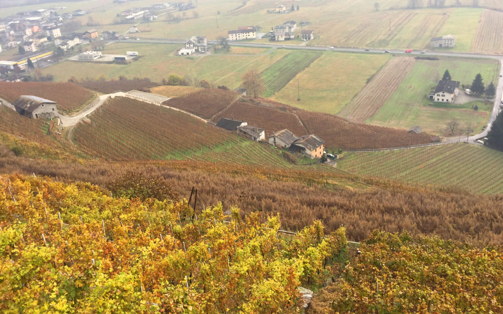 vigna inversione termica valtellina